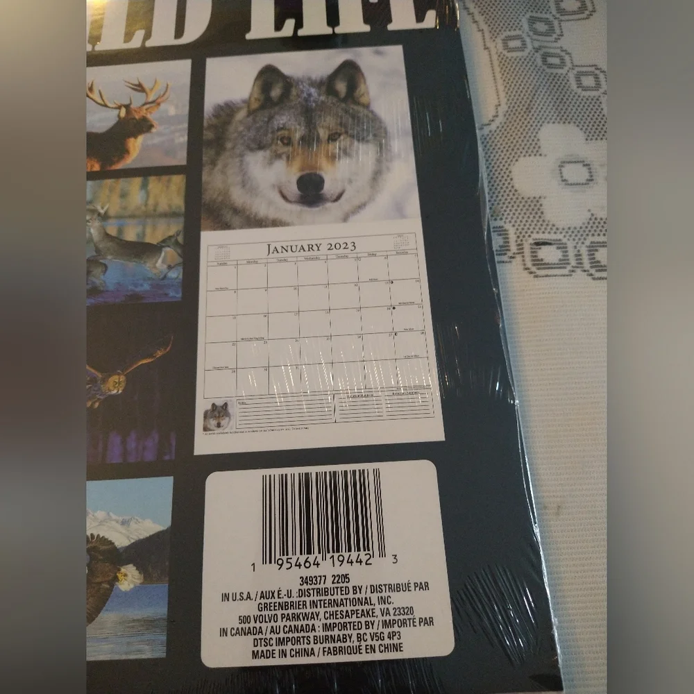 North America Wild Life 12*12